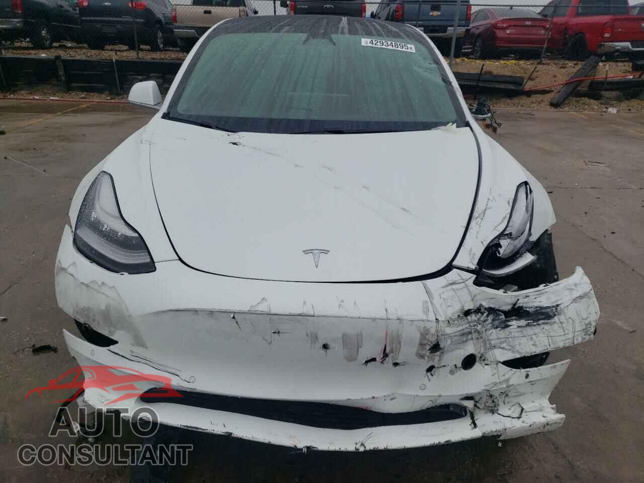 TESLA MODEL 3 2019 - 5YJ3E1EA8KF485000
