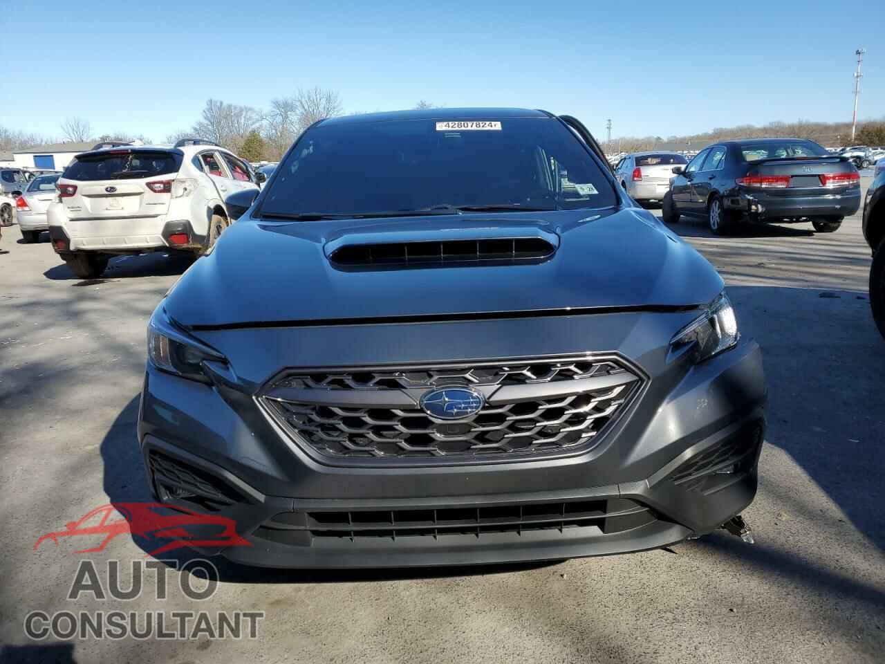 SUBARU WRX 2023 - JF1VBAF61P9814753