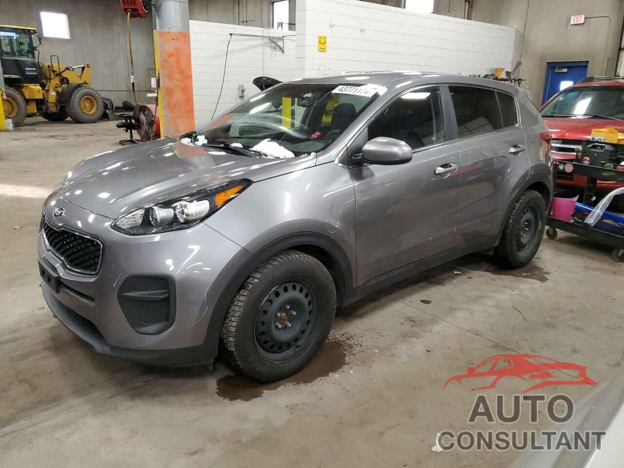KIA SPORTAGE 2017 - KNDPM3AC4H7183533