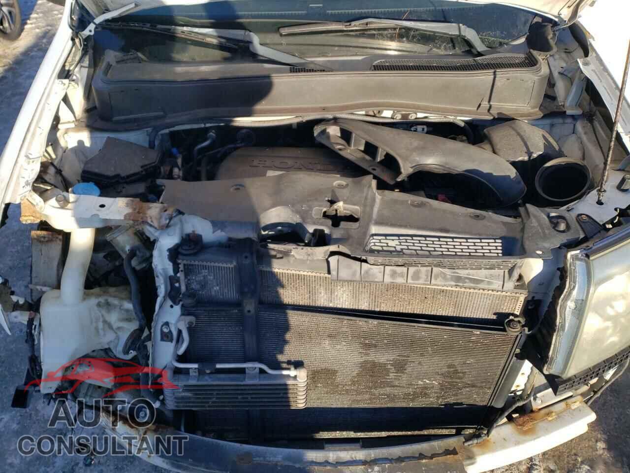 HONDA PILOT 2009 - 5FNYF48669B026487