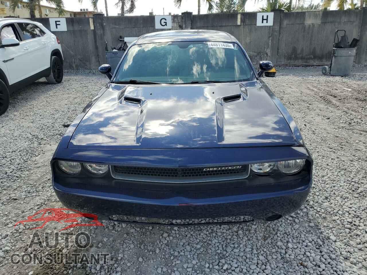 DODGE CHALLENGER 2013 - 2C3CDYAGXDH679650