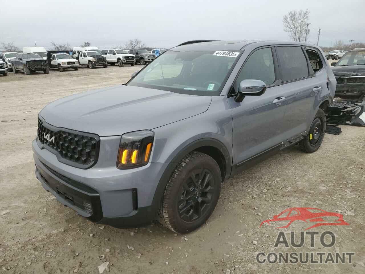 KIA TELLURIDE 2024 - 5XYP5DGC1RG518830