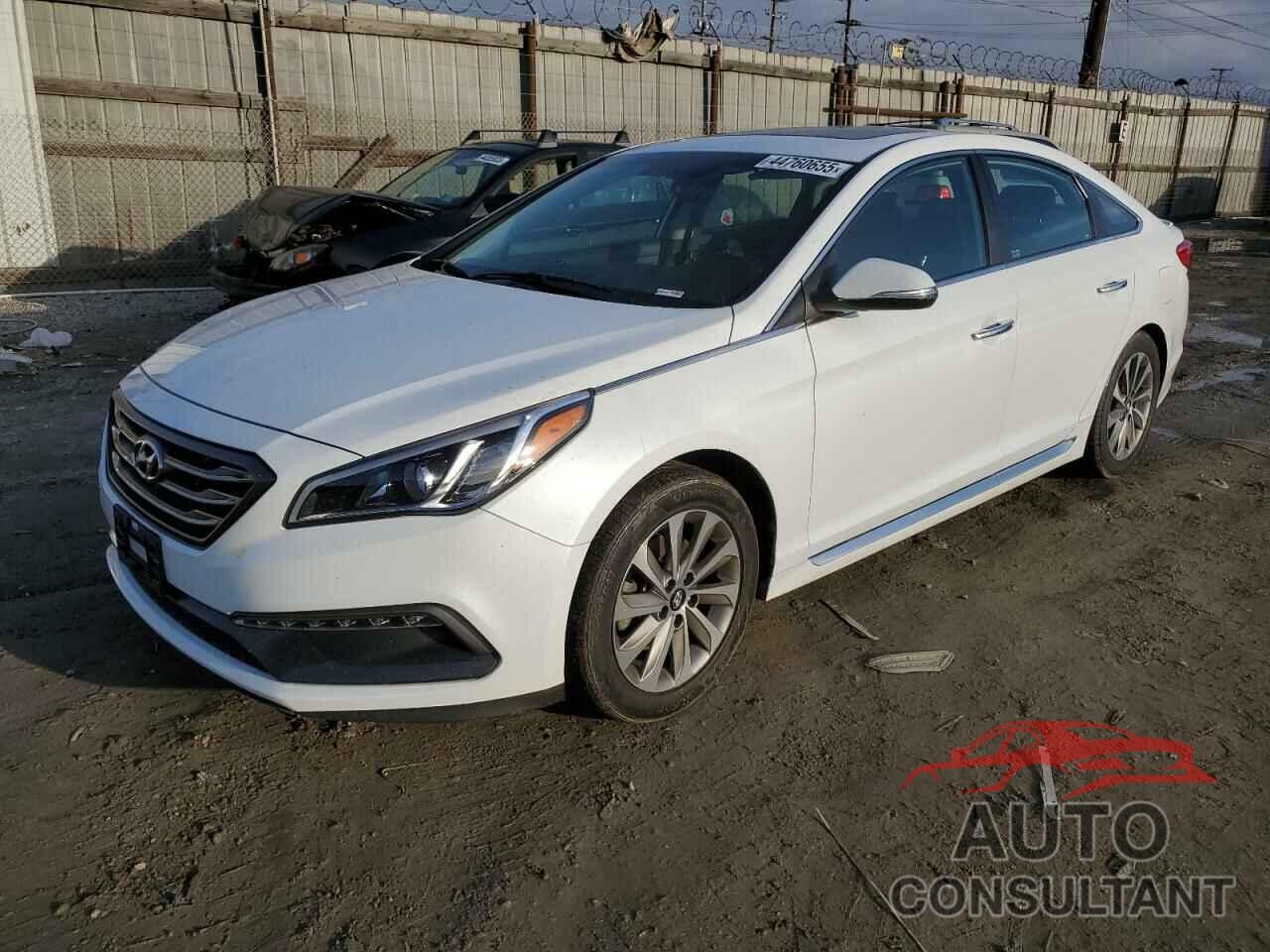 HYUNDAI SONATA 2016 - 5NPE34AF1GH362097