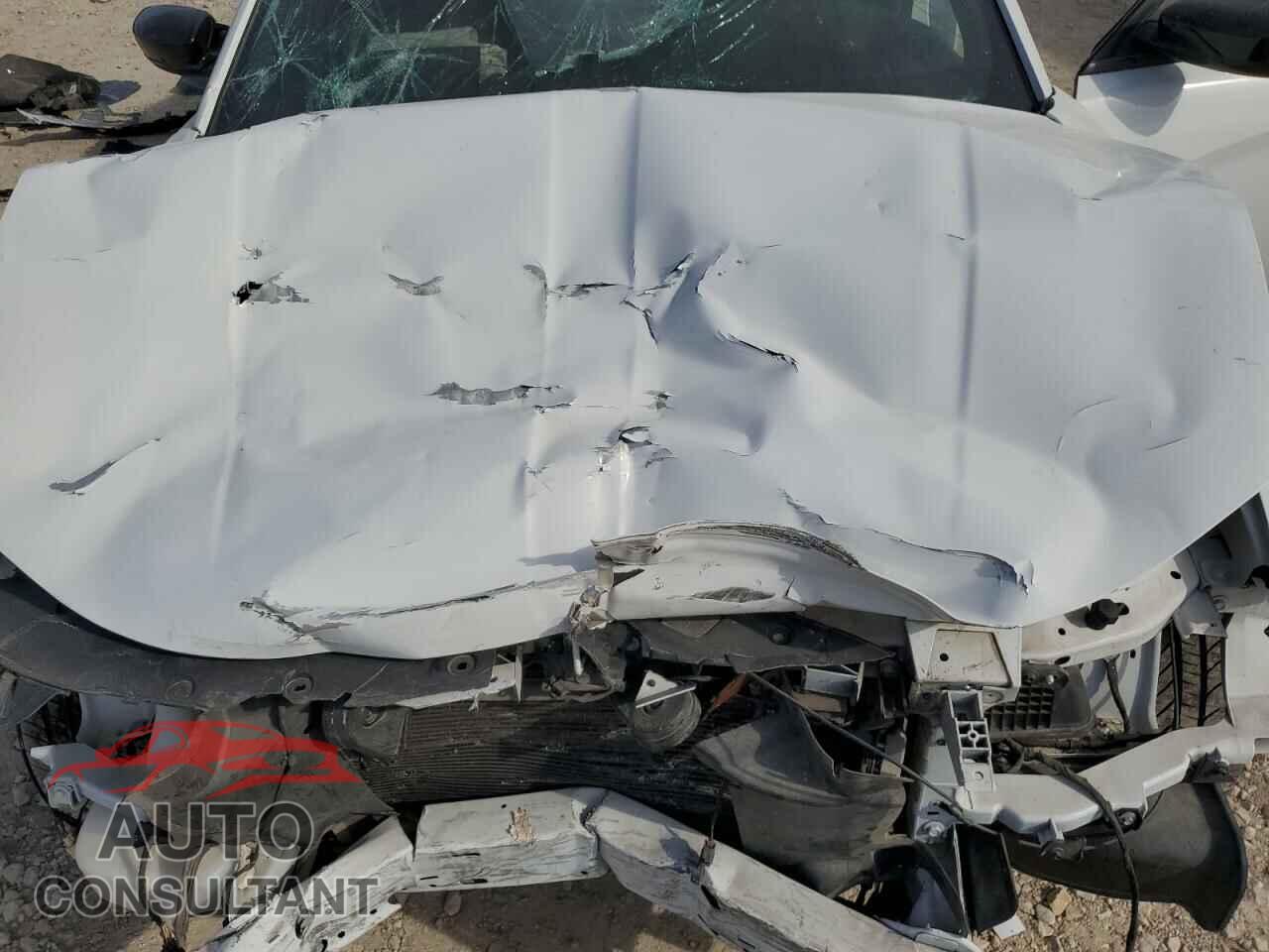 DODGE CHARGER 2019 - 2C3CDXBG3KH670794