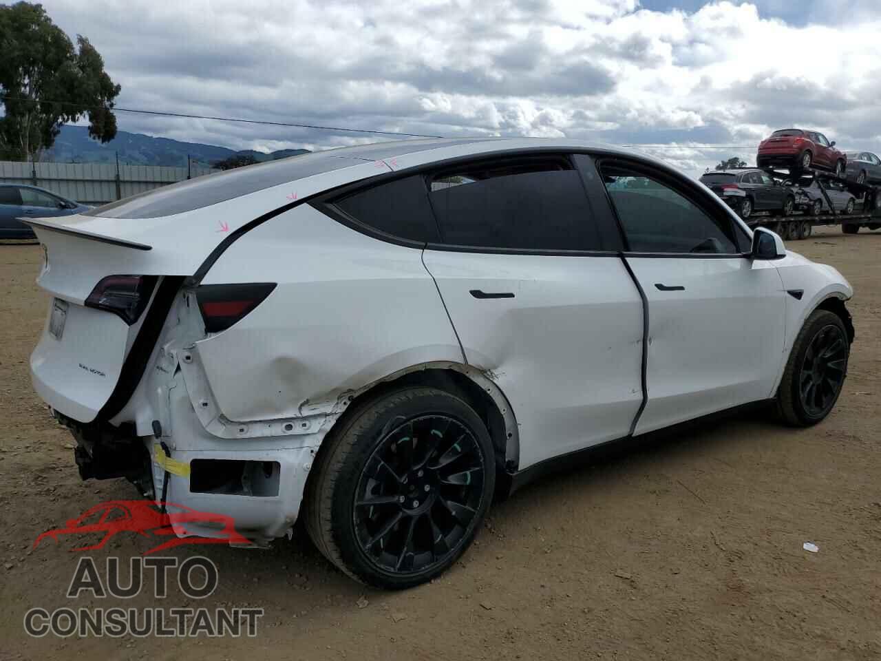 TESLA MODEL Y 2021 - 5YJYGDEE0MF162101