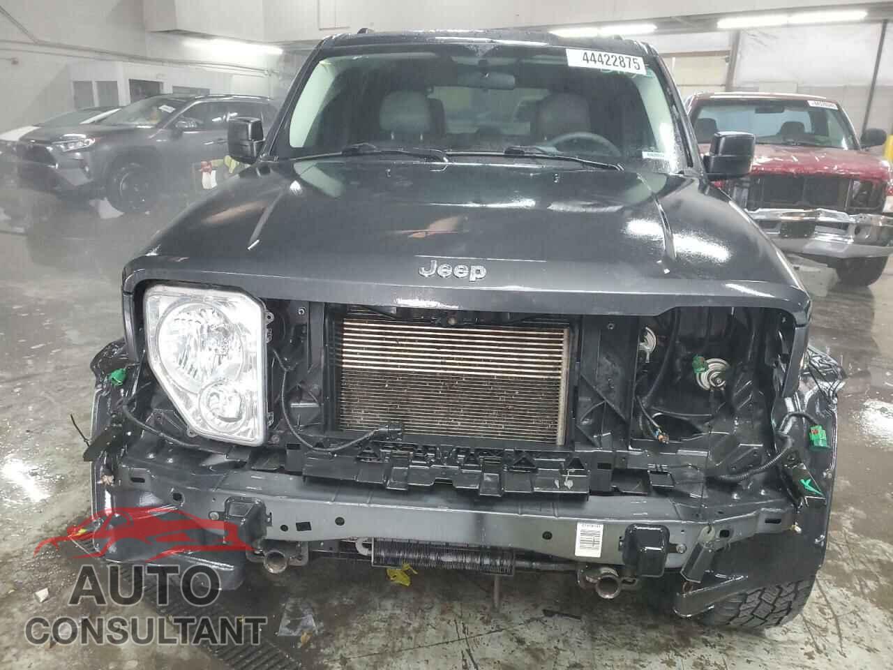 JEEP LIBERTY 2010 - 1J4PN2GK2AW166760