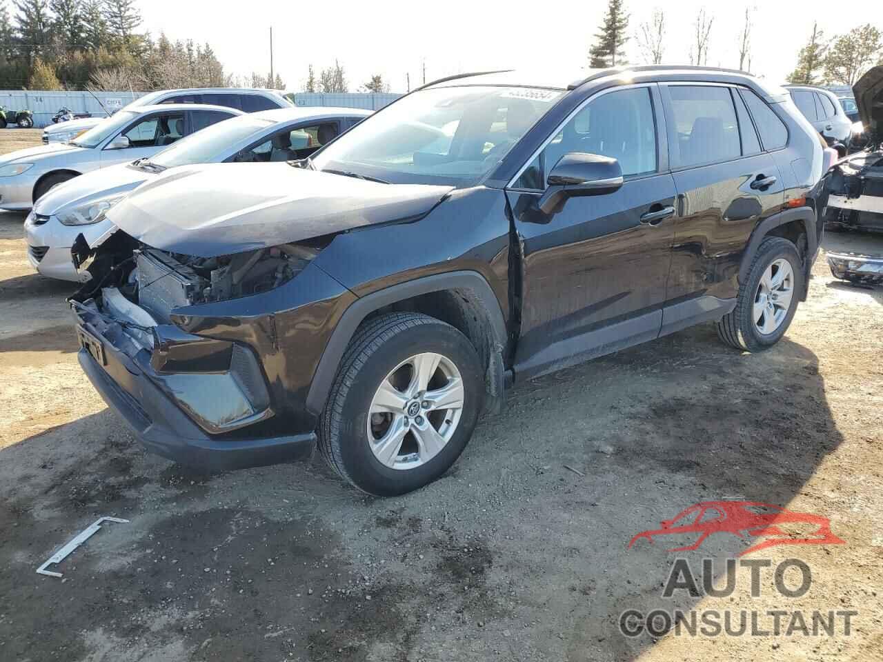 TOYOTA RAV4 2019 - 2T3B1RFV4KW015483