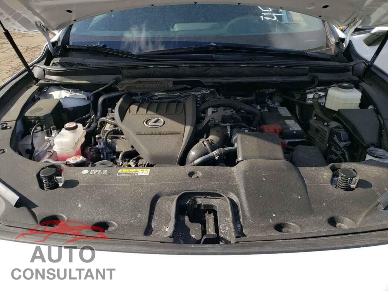 LEXUS RX350 2023 - 2T2BAMCA0PC028409