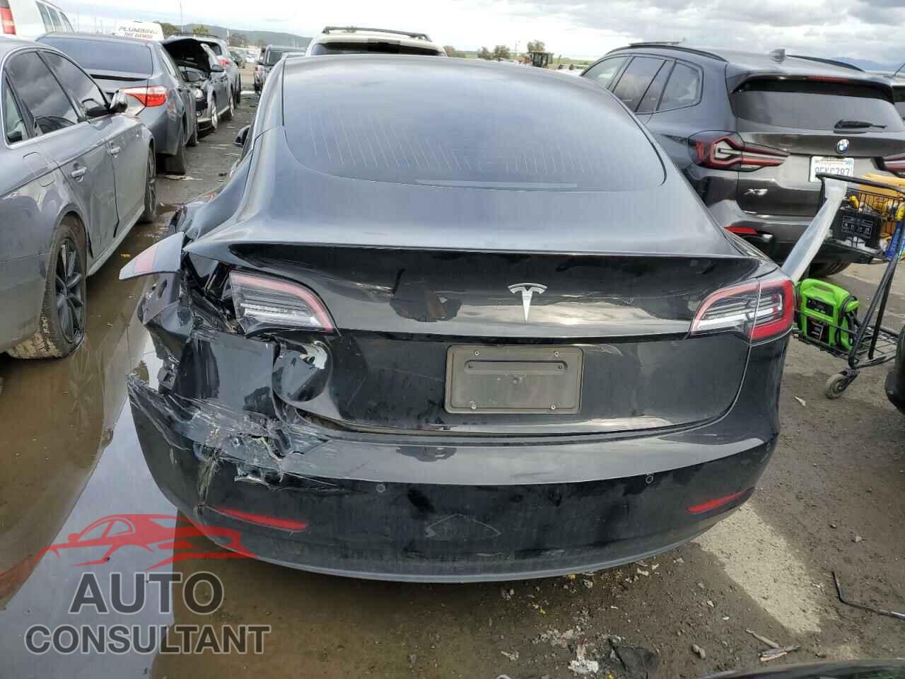 TESLA MODEL 3 2020 - 5YJ3E1EA1LF704574