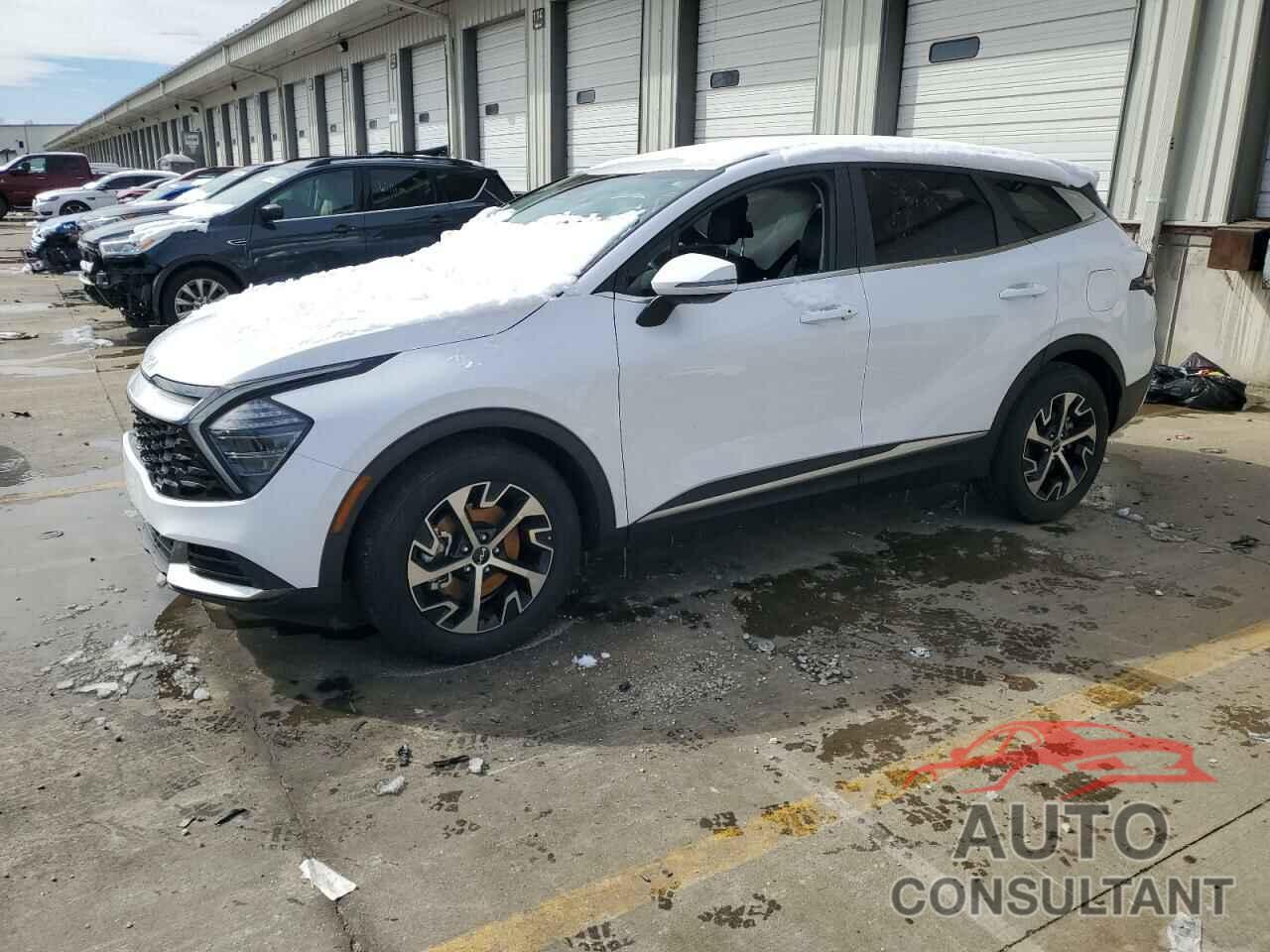 KIA SPORTAGE 2024 - 5XYK33DF5RG196749