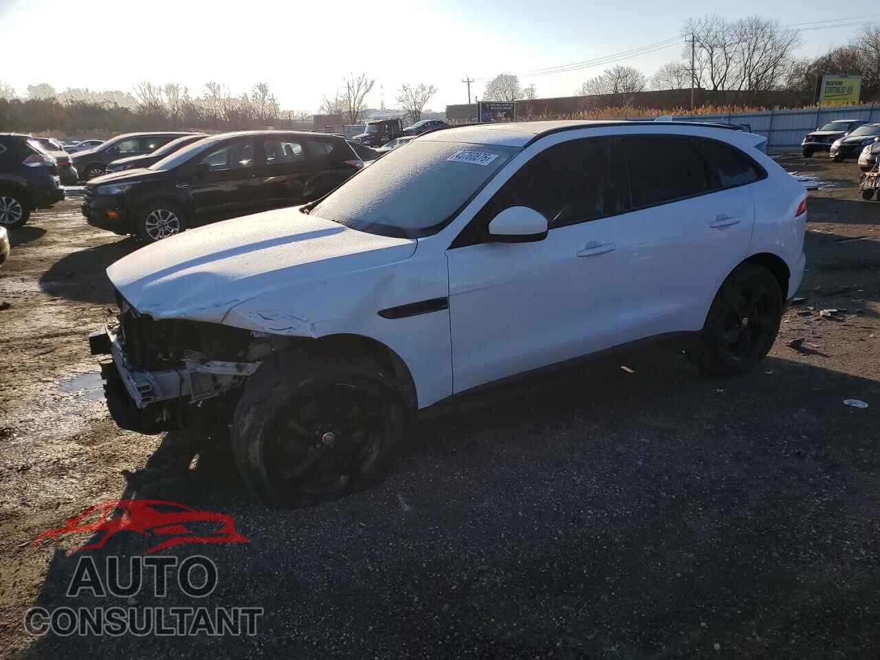 JAGUAR F-PACE 2017 - SADCJ2BV6HA493952