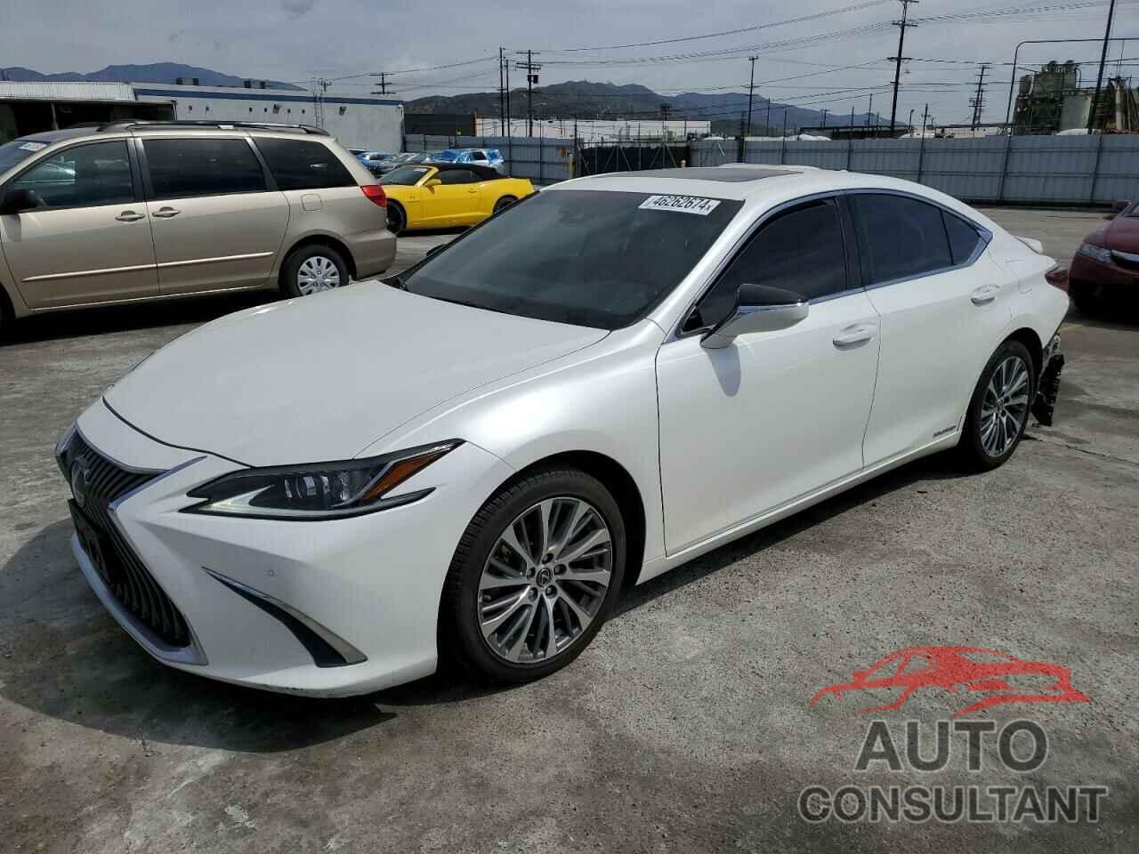 LEXUS ES300 2020 - 58AD21B19LU006176