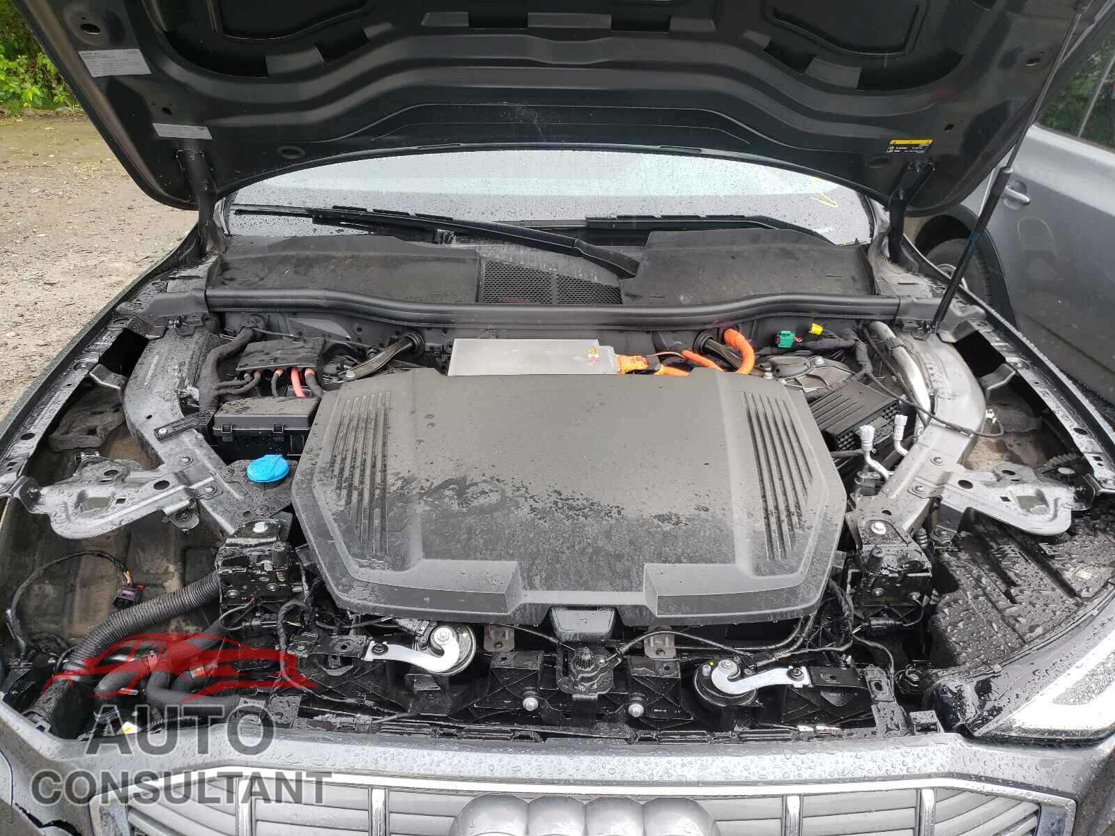 AUDI E-TRON 2019 - WA1VAAGE8KB006768