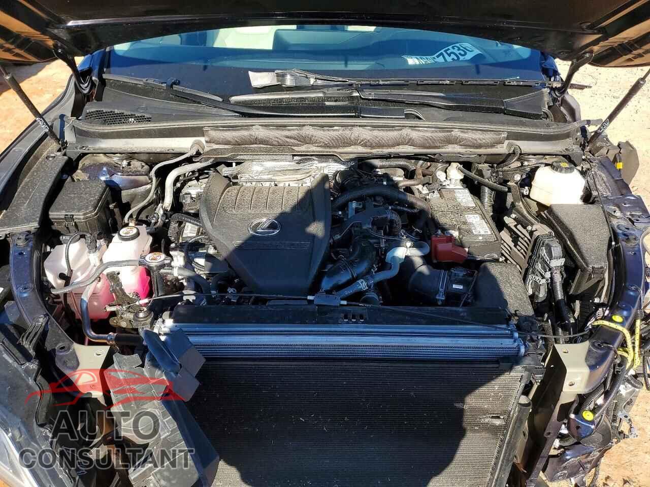 LEXUS RX350 2024 - 2T2BAMCAXRC058634