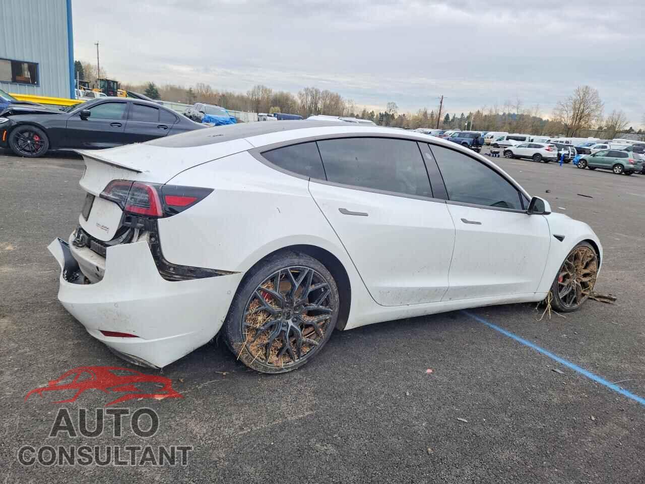 TESLA MODEL 3 2019 - 5YJ3E1EB9KF513976