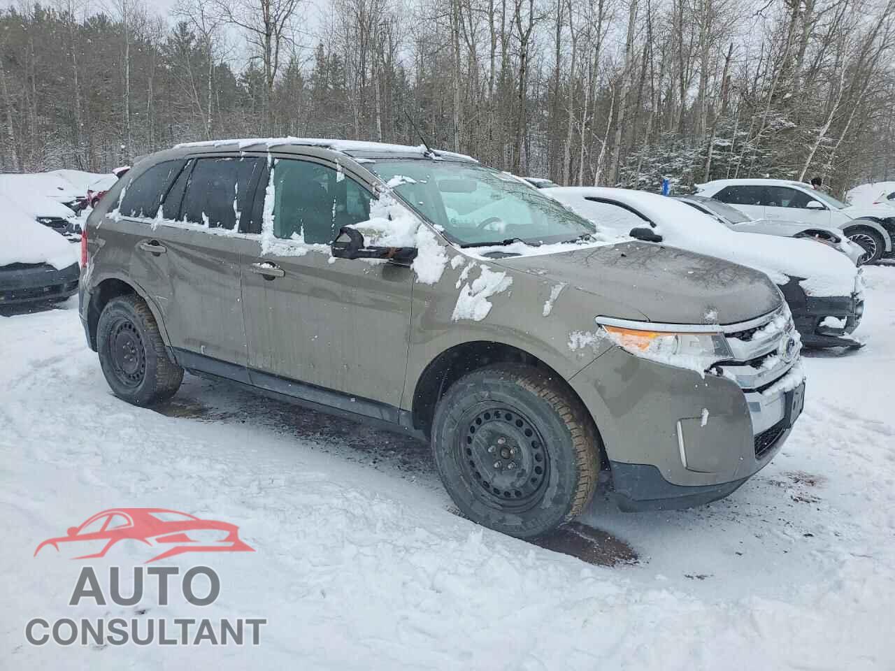 FORD EDGE 2014 - 2FMDK4KC2EBB01617