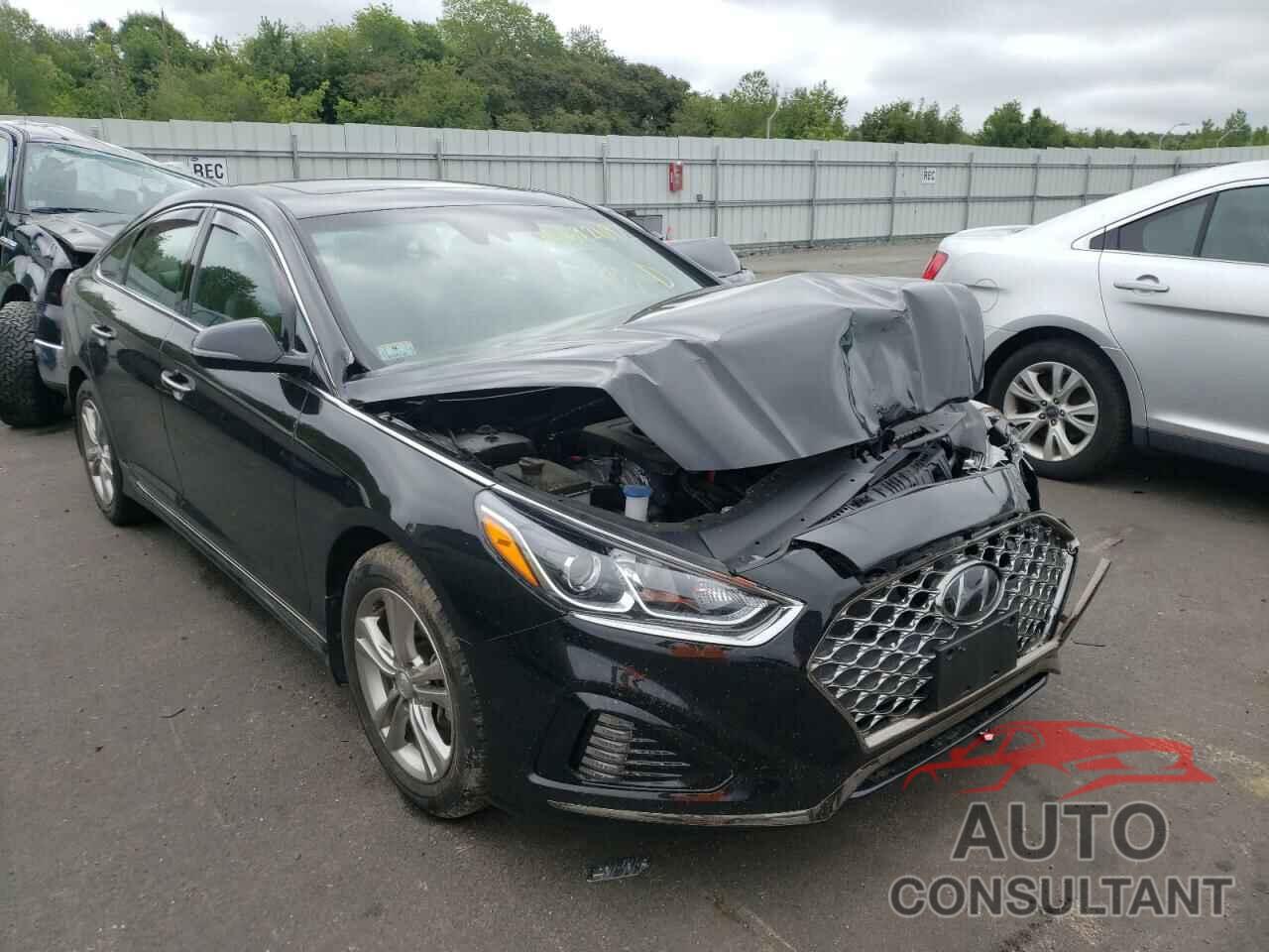 HYUNDAI SONATA 2019 - 5NPE34AF1KH801470