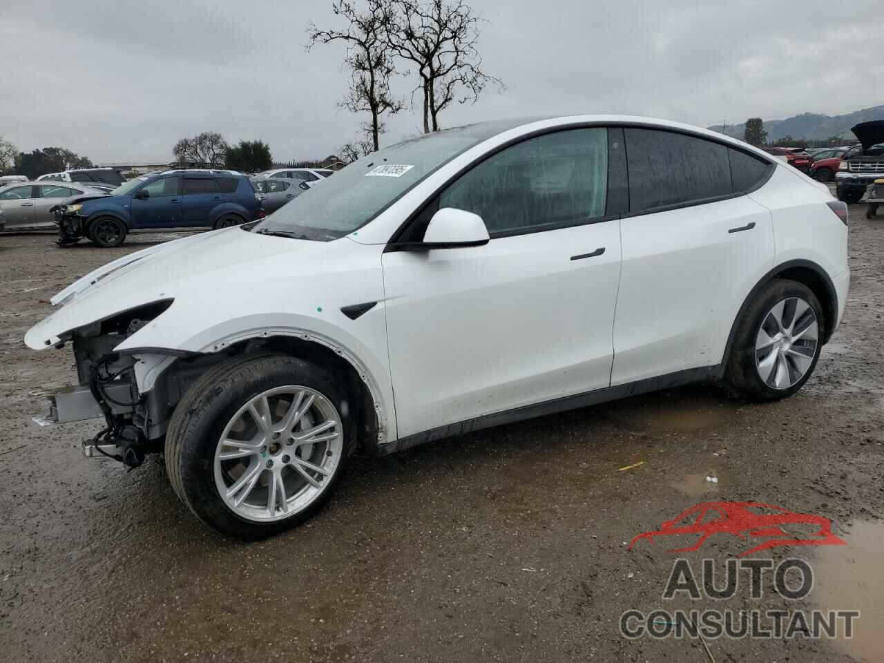 TESLA MODEL Y 2020 - 5YJYGDEE9LF056101
