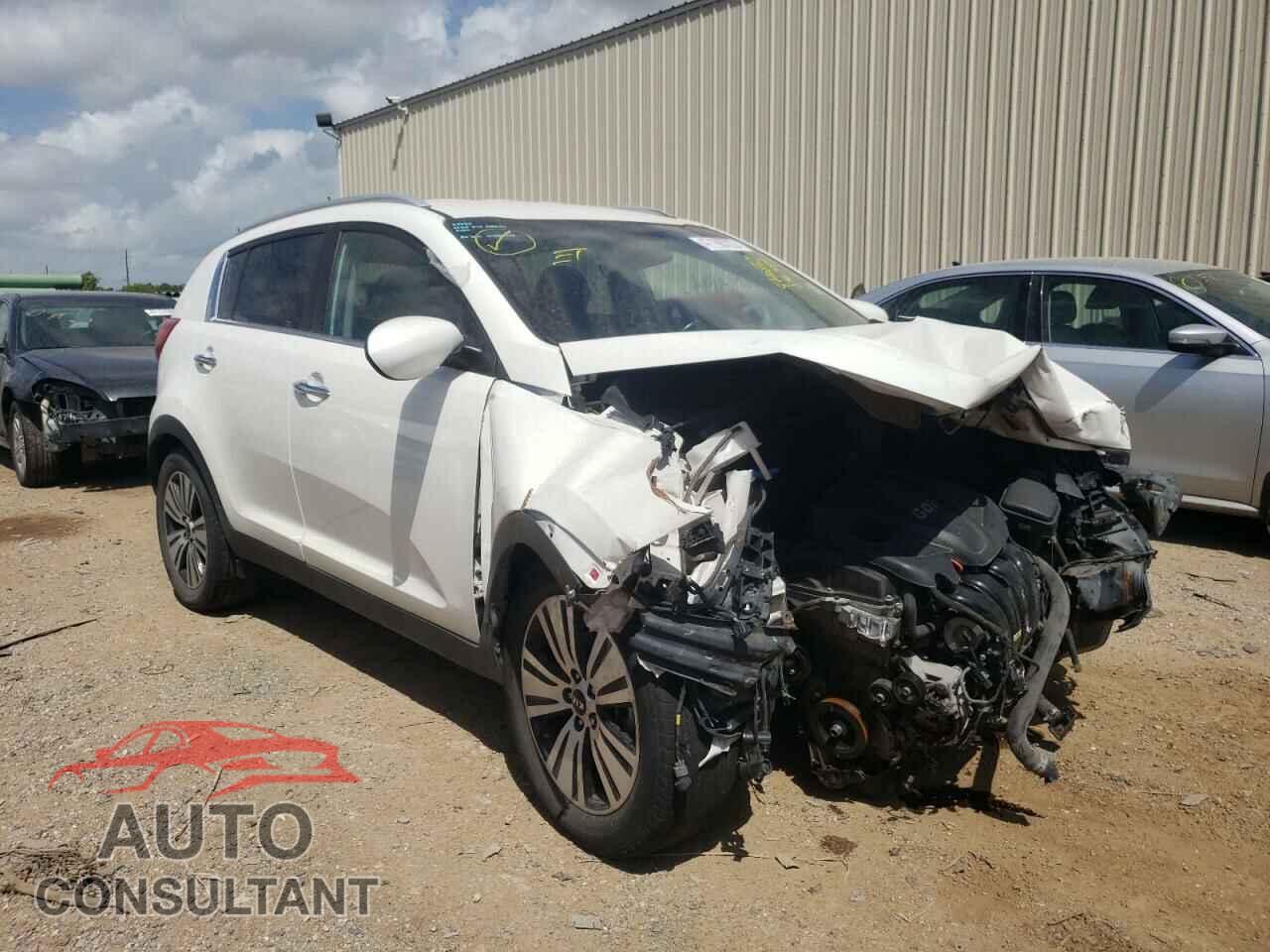 KIA SPORTAGE 2016 - KNDPC3AC5G7846545