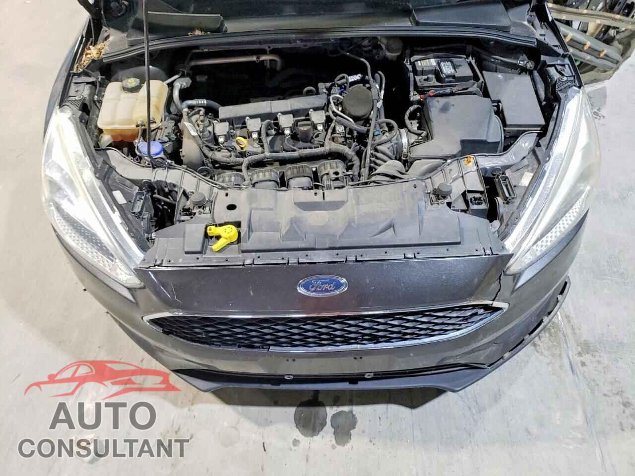 FORD FOCUS 2016 - 1FADP3F25GL310151