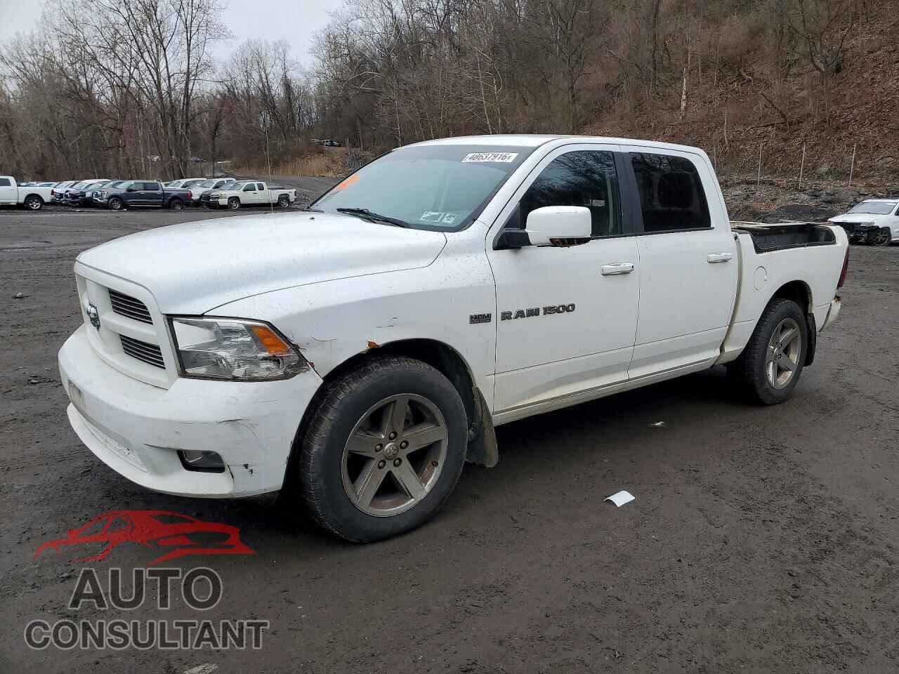DODGE RAM 1500 2012 - 1C6RD7MT2CS258349