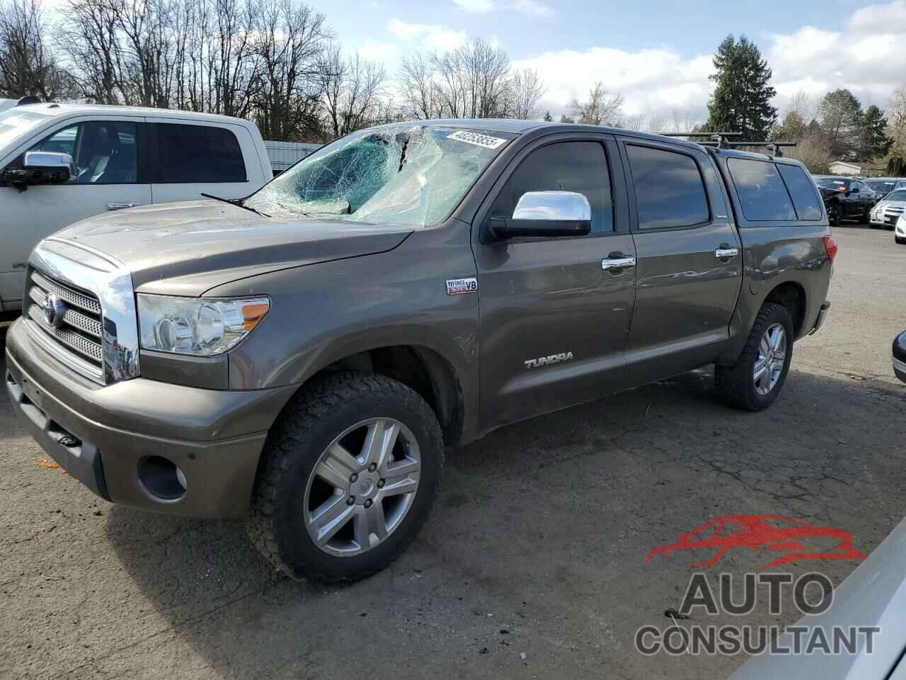 TOYOTA TUNDRA 2009 - 5TFDV58129X091936