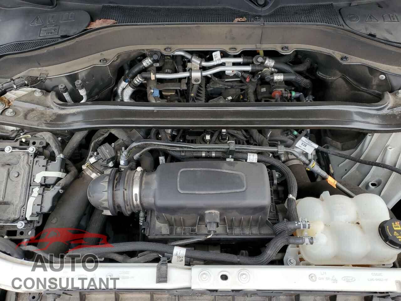 FORD EXPLORER 2022 - 1FMSK8KH2NGA28901