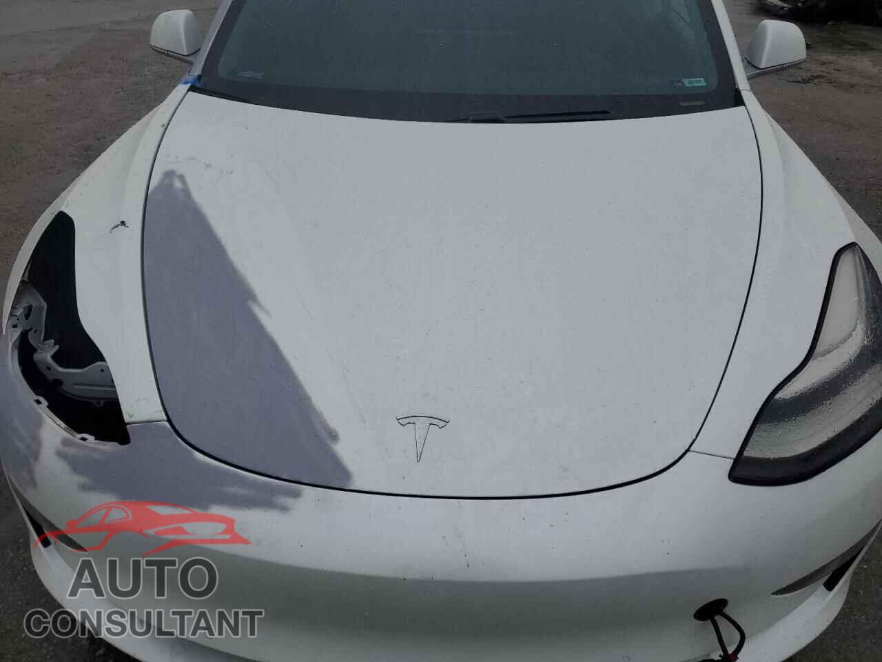TESLA MODEL 3 2019 - 5YJ3E1EA8KF436444