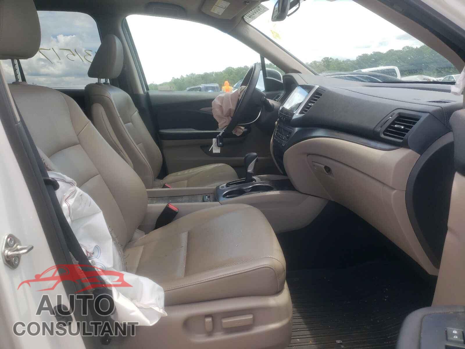 HONDA RIDGELINE 2019 - 5FPYK3F67KB005315