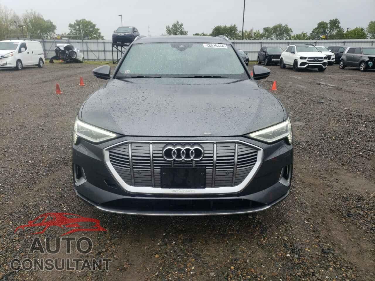 AUDI E-TRON 2019 - WA1VAAGE3KB006113