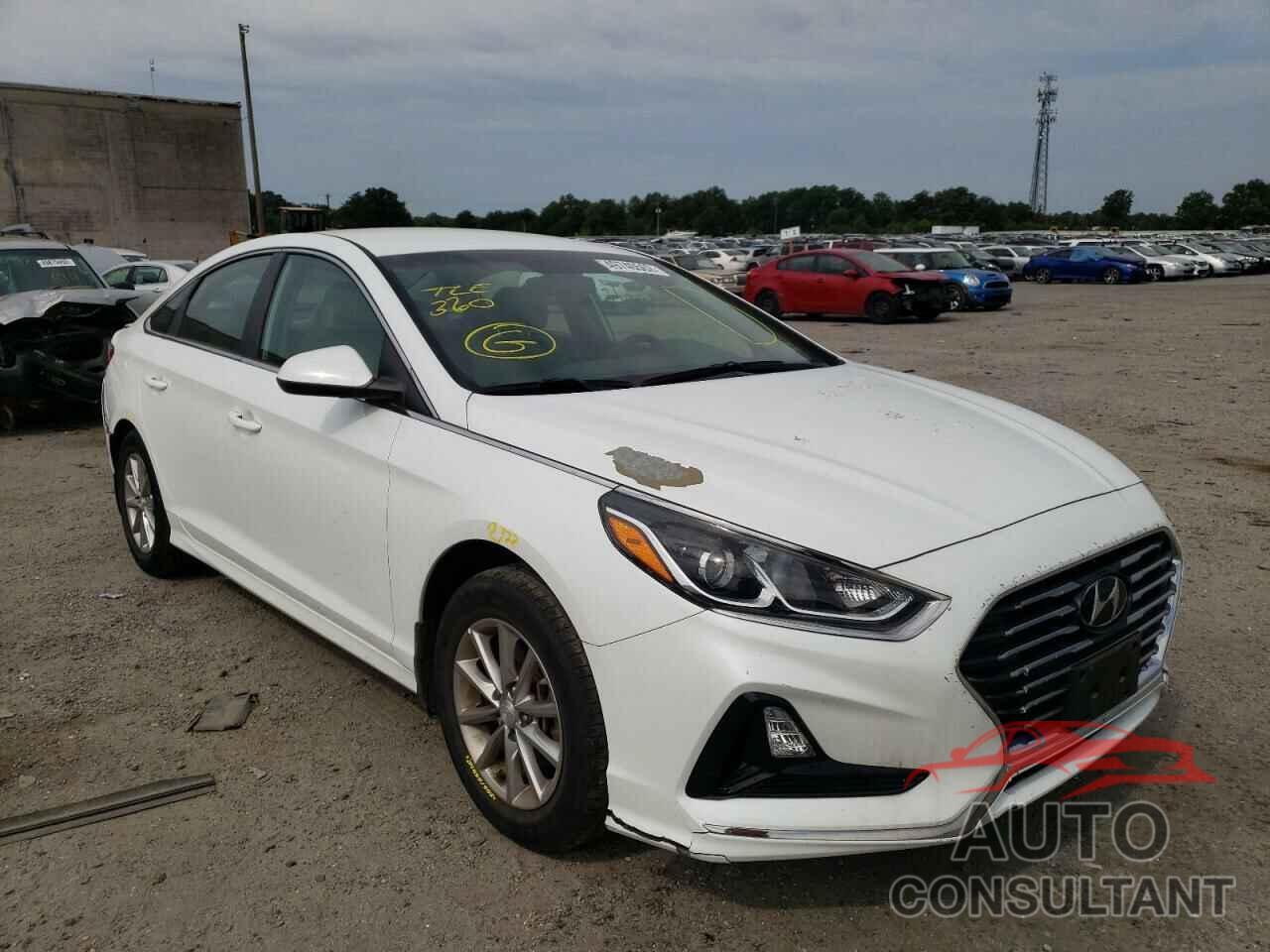 HYUNDAI SONATA 2018 - 5NPE24AF0JH618398