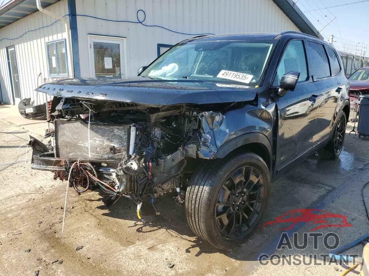 KIA TELLURIDE 2022 - 5XYP3DHC5NG314546