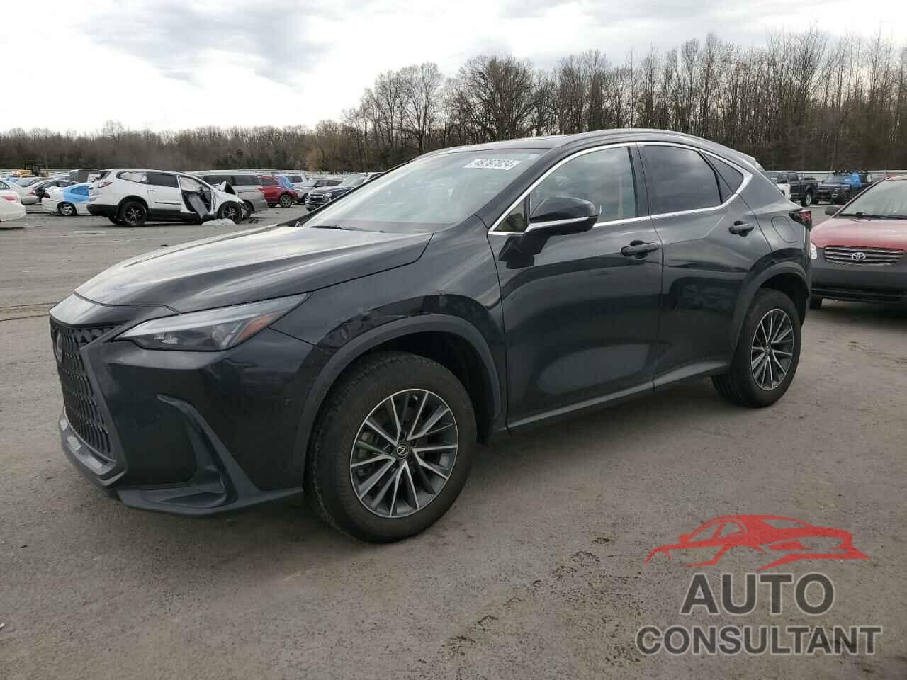 LEXUS NX 350 2022 - JTJGGCEZ8N5001858