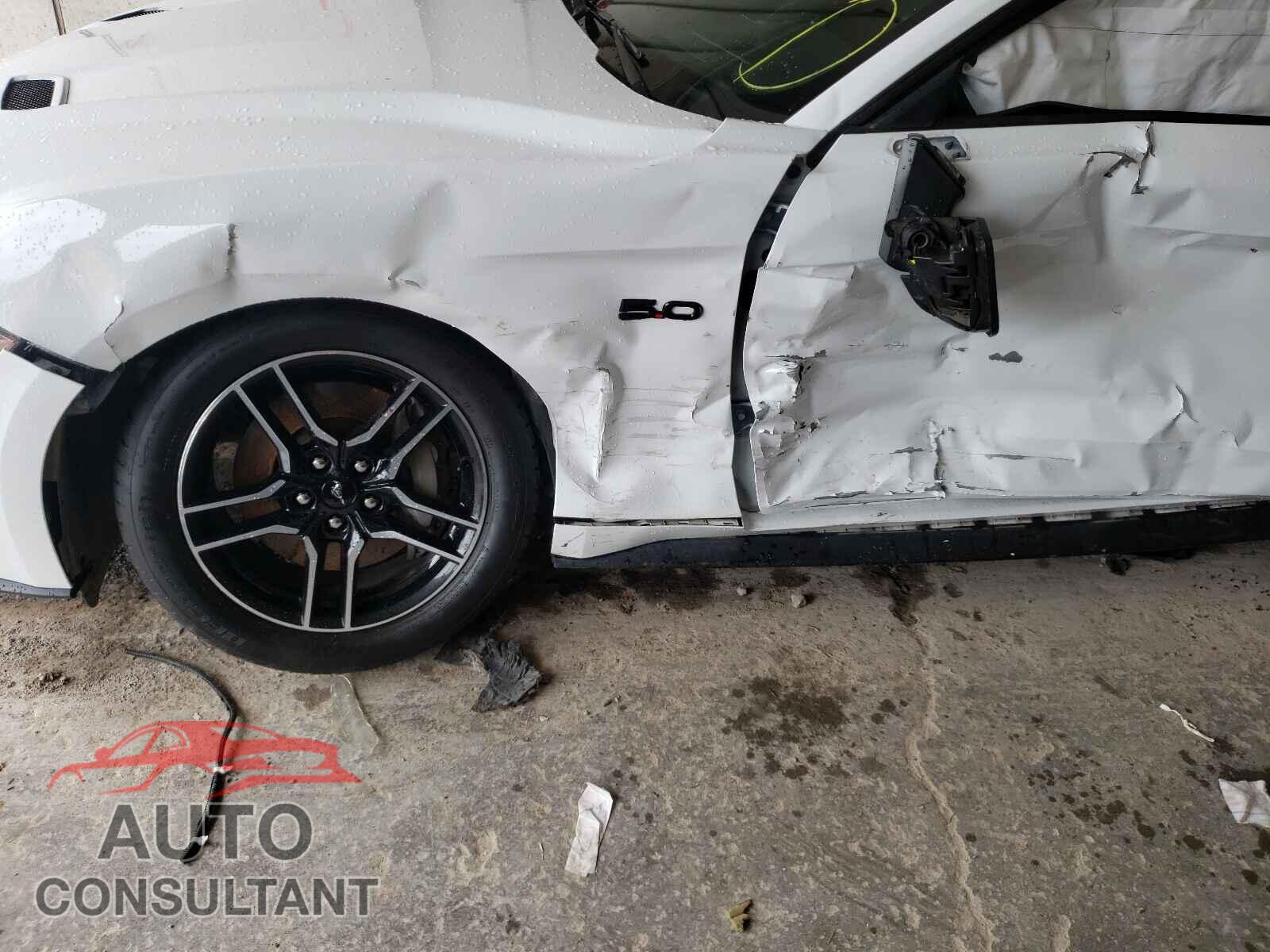 FORD MUSTANG 2019 - 1FA6P8CF5K5129223