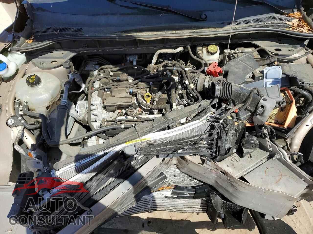 FORD ESCAPE 2021 - 1FMCU0F65MUA28237