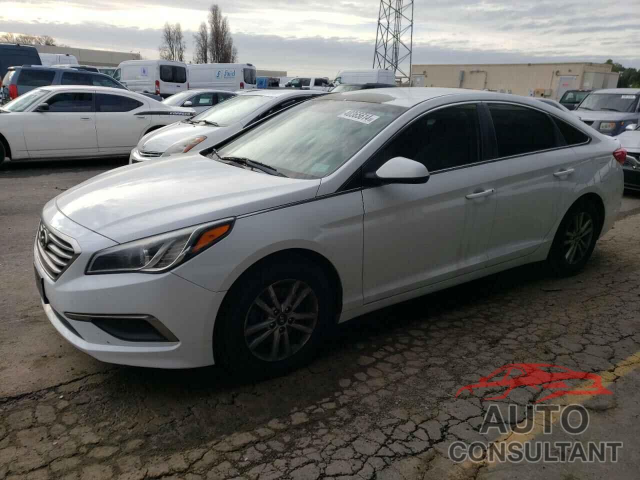 HYUNDAI SONATA 2016 - 5NPE24AF1GH349496