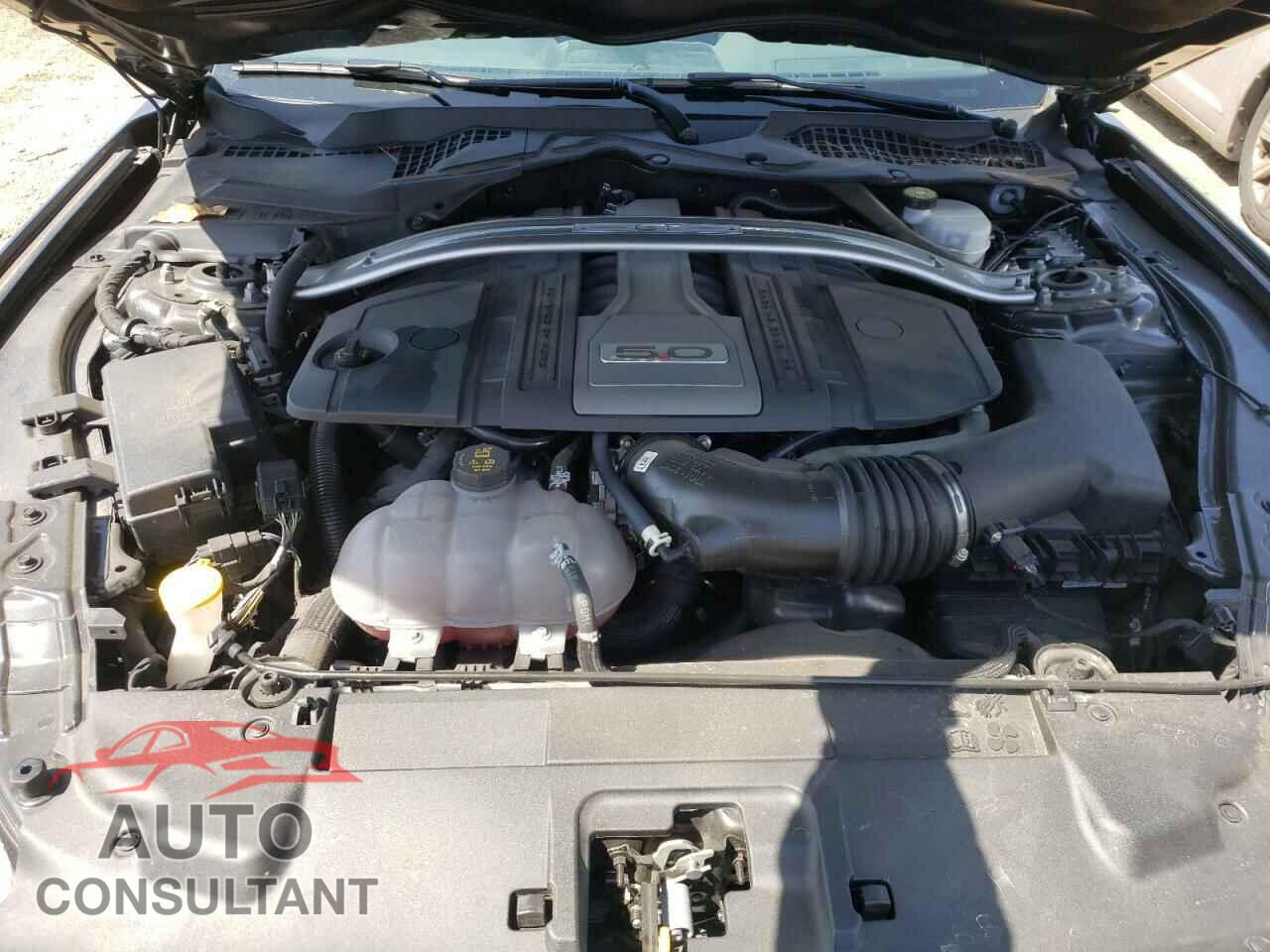 FORD MUSTANG 2019 - 1FA6P8CF8K5122069