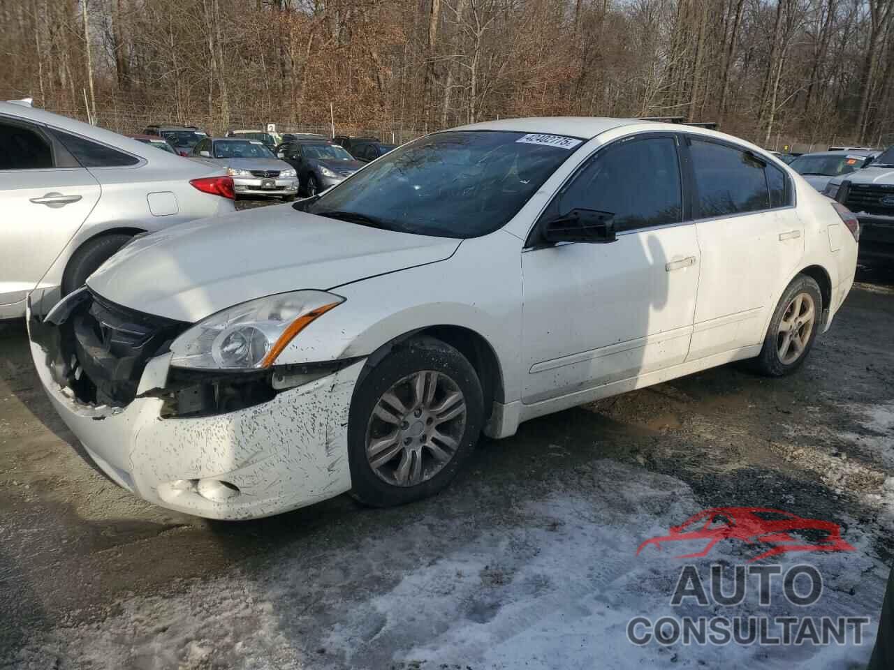 NISSAN ALTIMA 2010 - 1N4AL2AP9AN488040