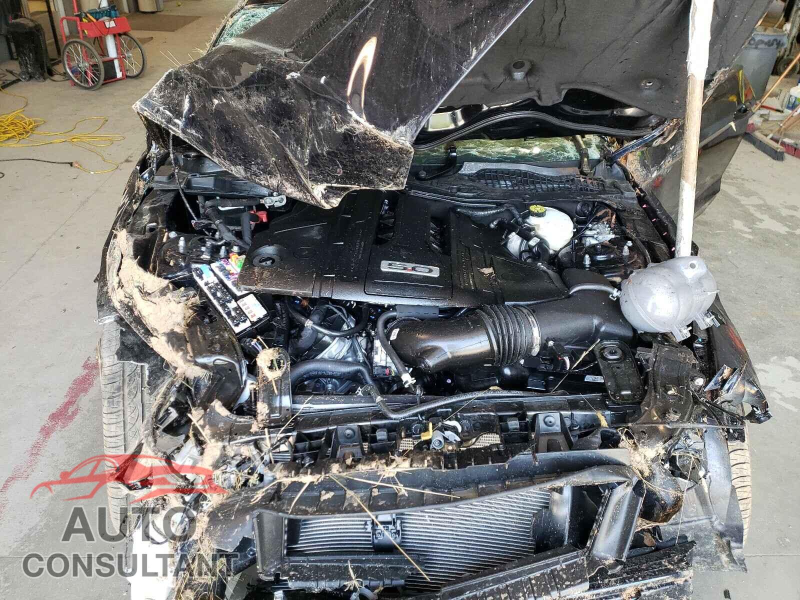 FORD MUSTANG 2021 - 1FA6P8CF3M5113413