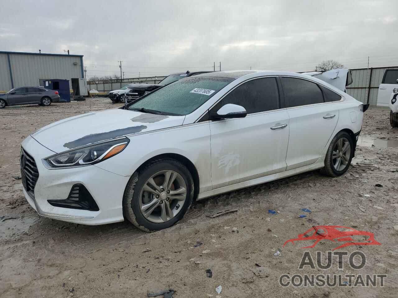 HYUNDAI SONATA 2018 - 5NPE34AF3JH596393