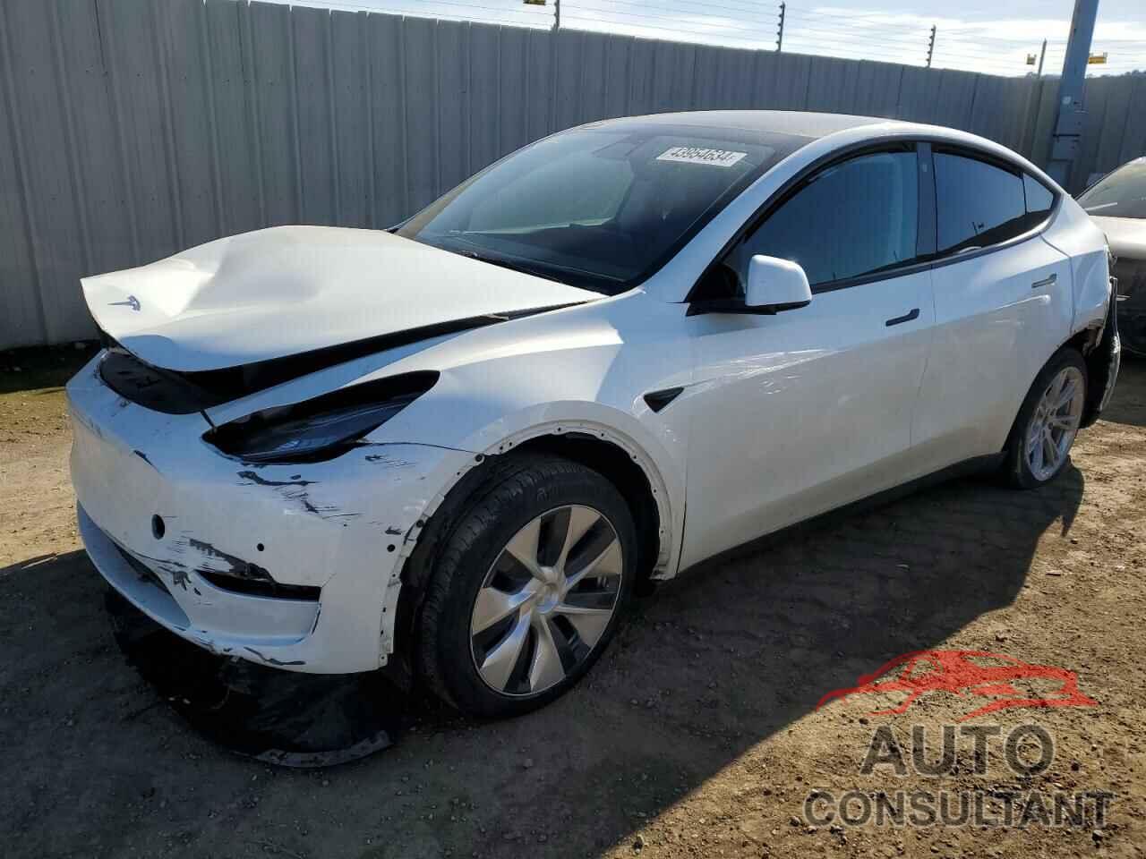 TESLA MODEL Y 2021 - 5YJYGDEE5MF239514