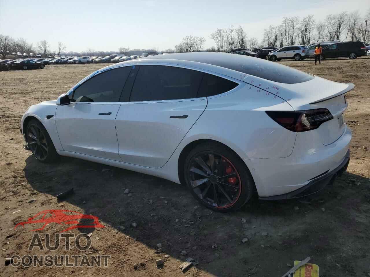 TESLA MODEL 3 2019 - 5YJ3E1EA8KF483456