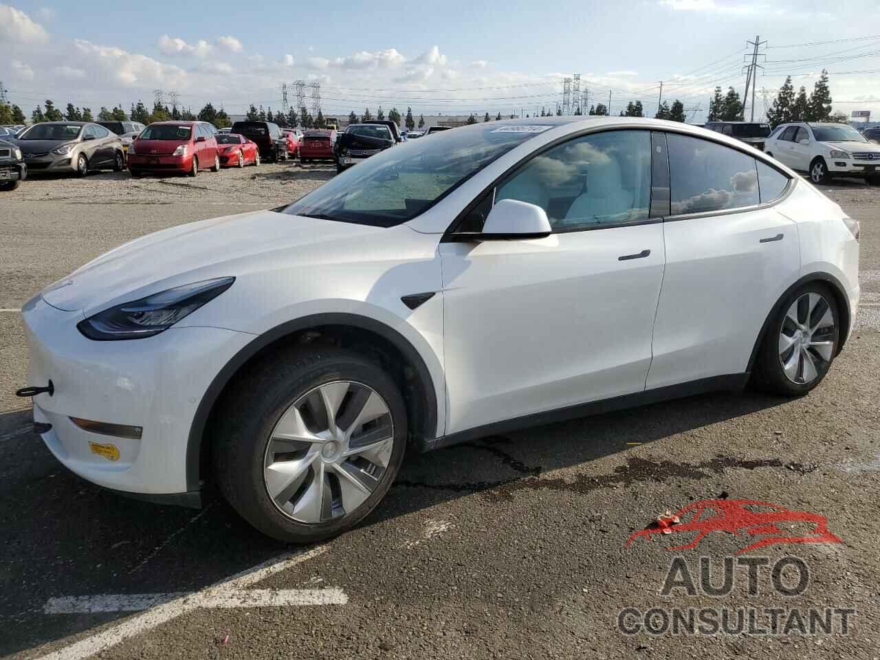 TESLA MODEL Y 2022 - 7SAYGAEE4NF404679