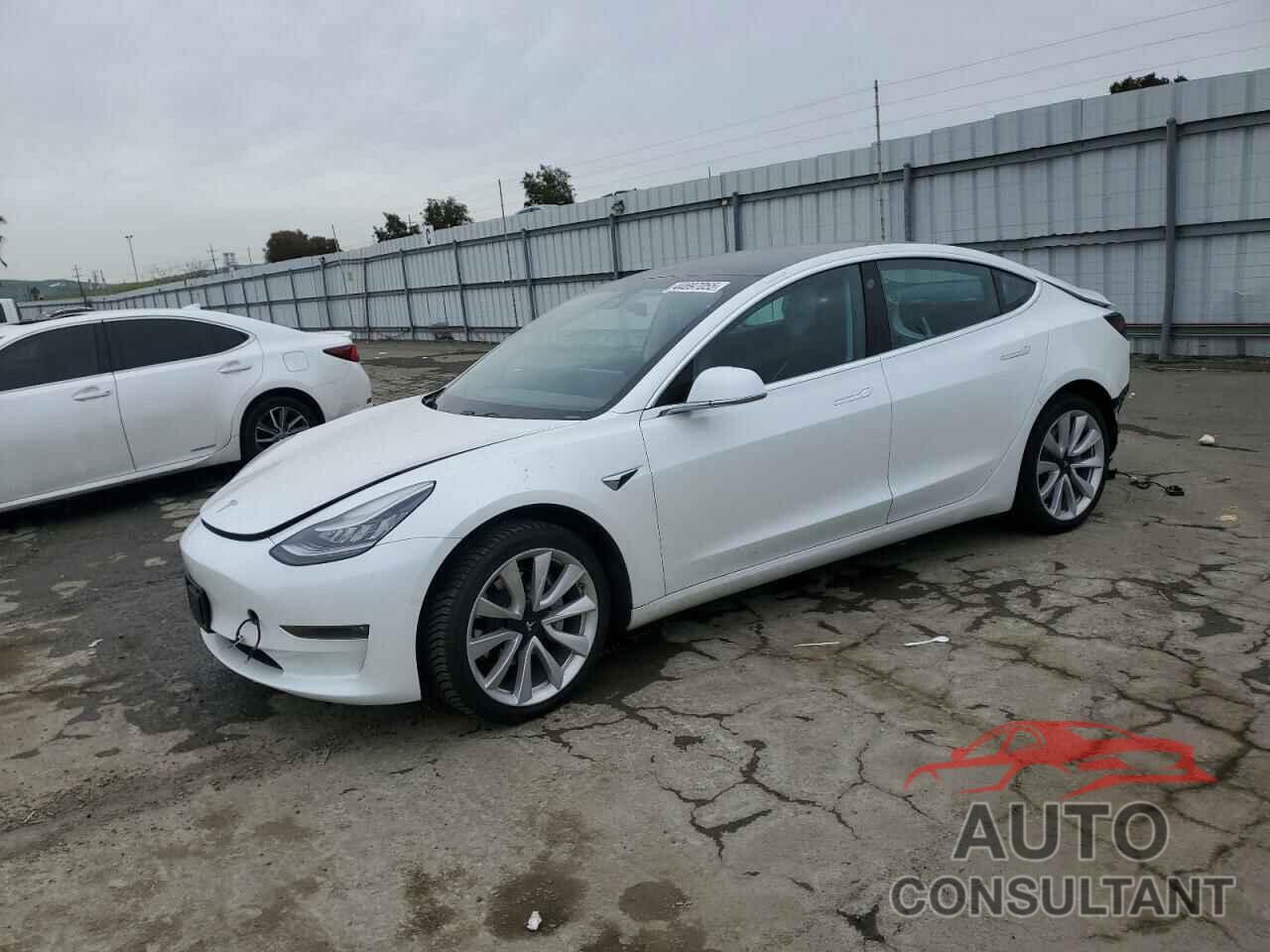 TESLA MODEL 3 2019 - 5YJ3E1EA8KF338398