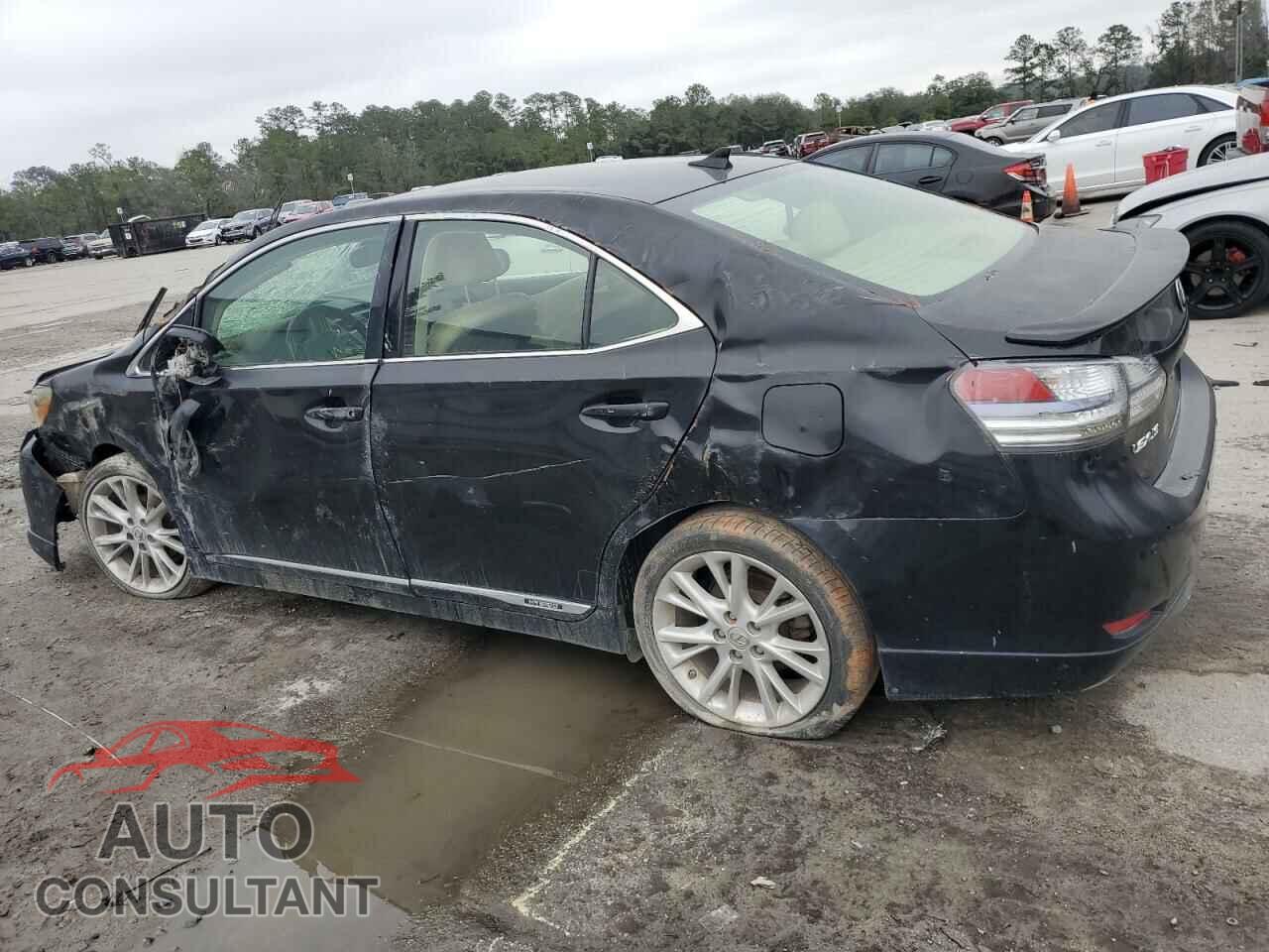 LEXUS HS 2010 - JTHBB1BA4A2021002