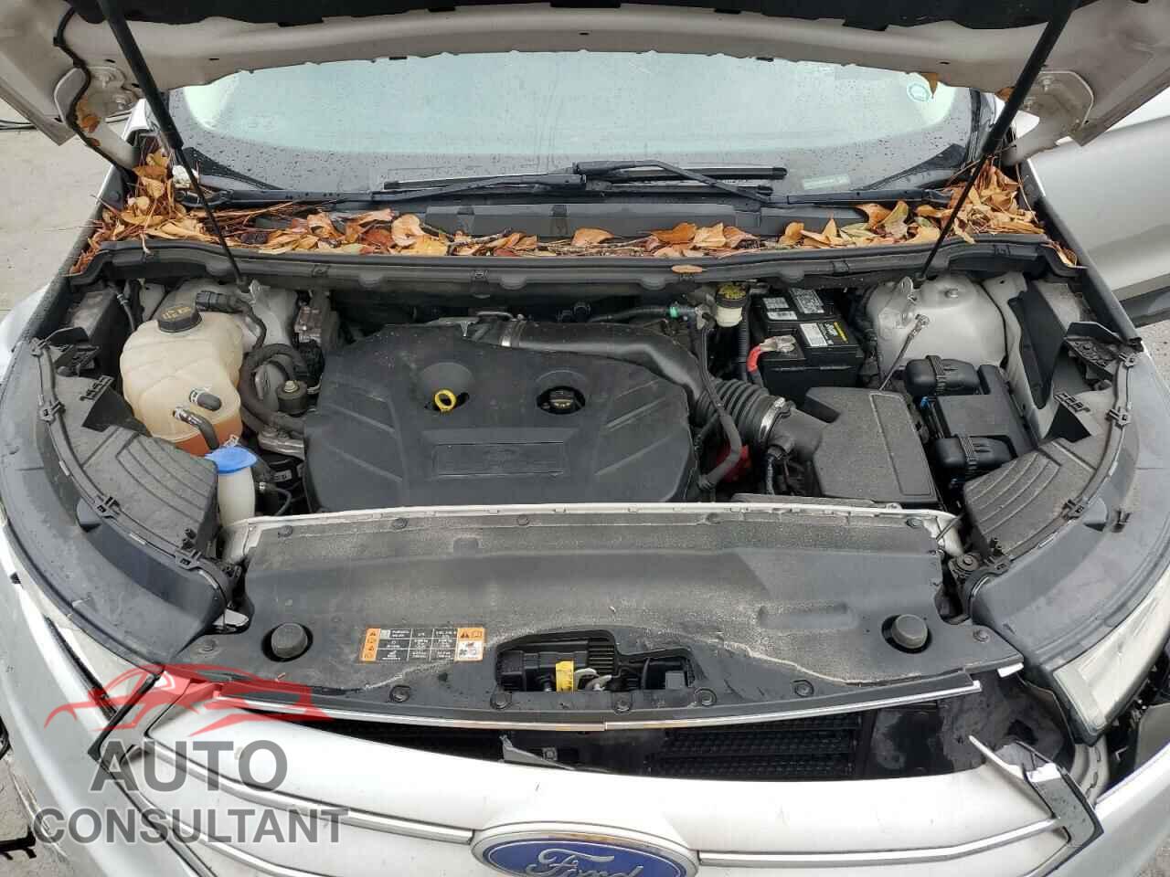 FORD EDGE 2015 - 2FMTK3K96FBB61864