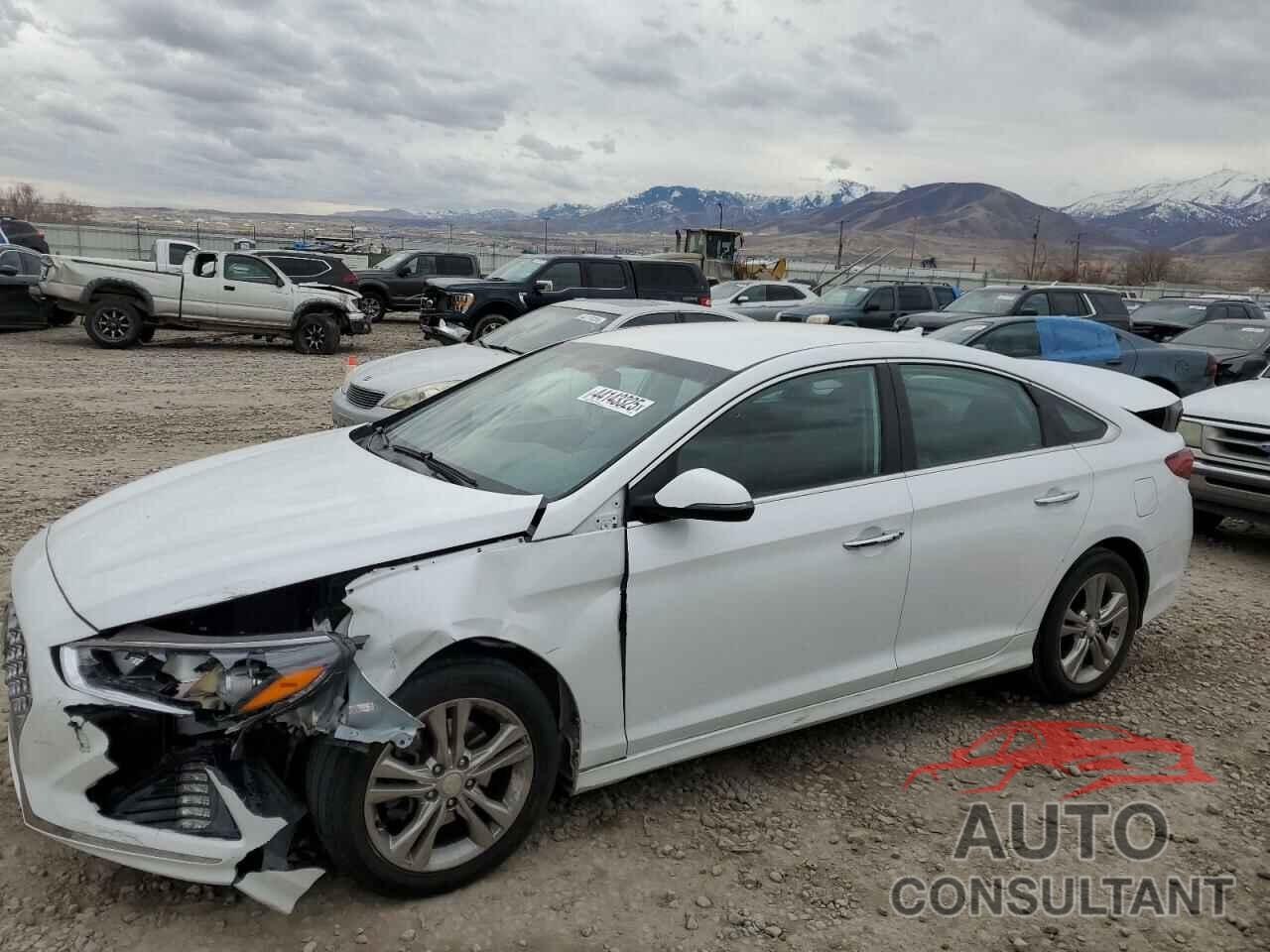 HYUNDAI SONATA 2019 - 5NPE34AF6KH740438