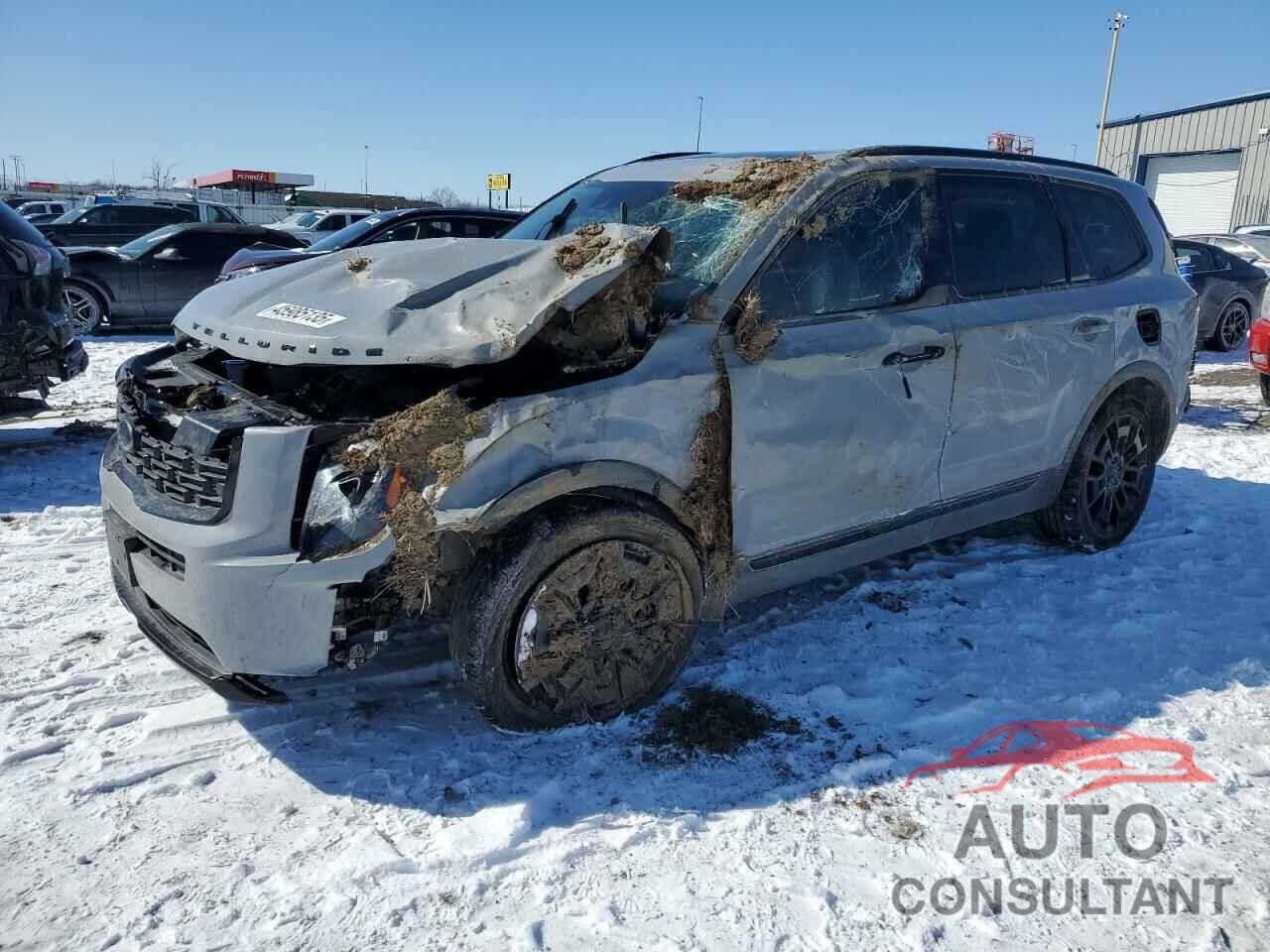 KIA TELLURIDE 2021 - 5XYP3DHC8MG191114