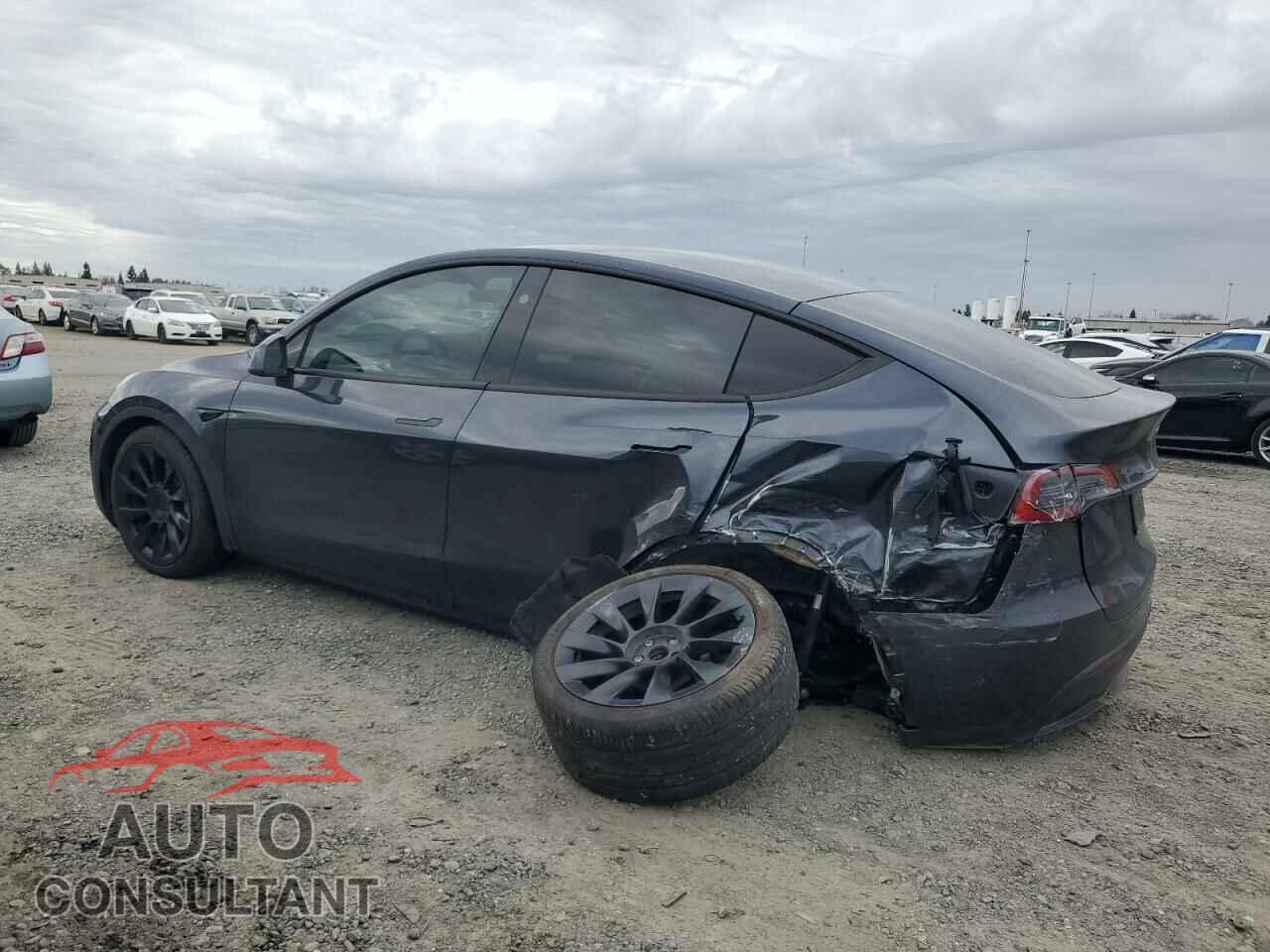 TESLA MODEL Y 2024 - 7SAYGDEE5RF073327