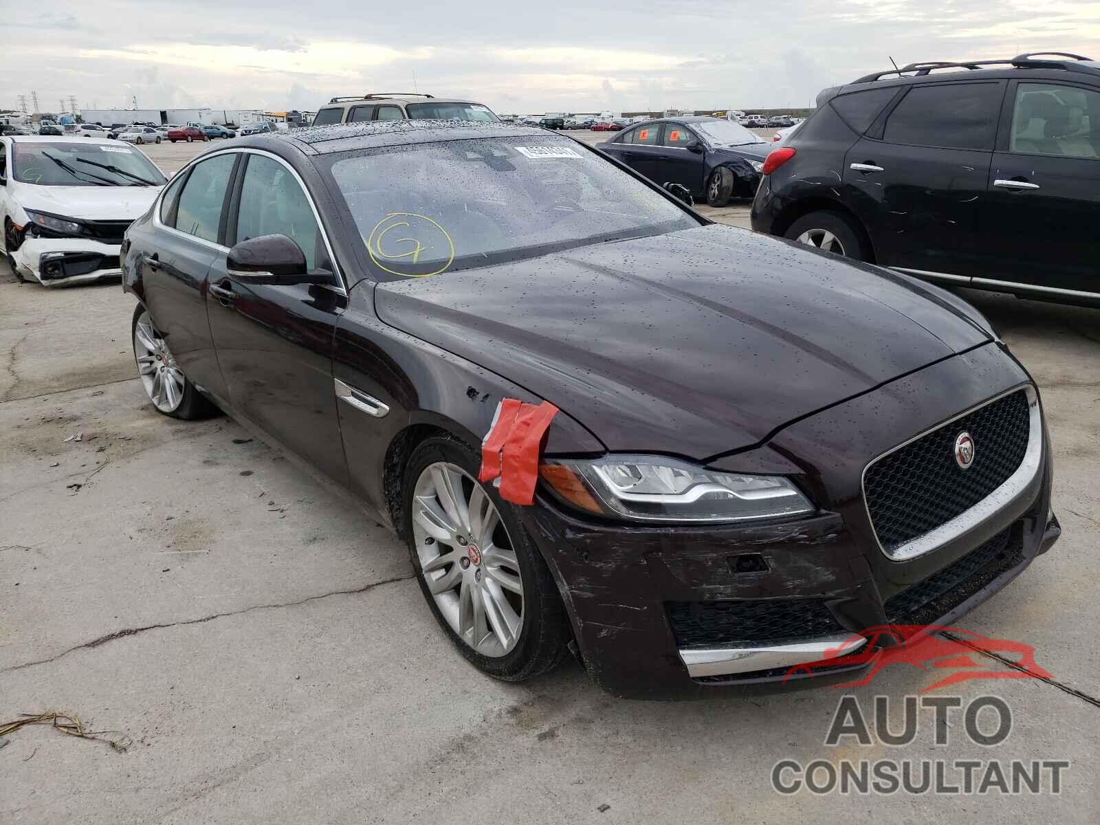 JAGUAR XF 2016 - SAJBE4BV7GCY16868